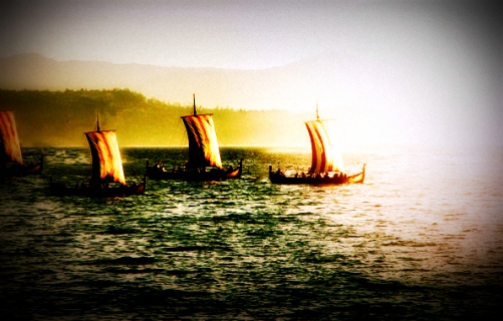 Viking fleet